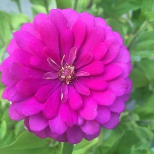 Meet your Posher, Andria